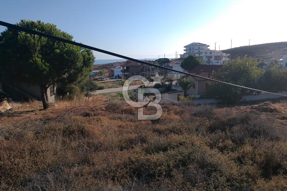 AVŞA ADASINDA YATIRIMA UYGUN SATILIK ARSA HİSSESİ