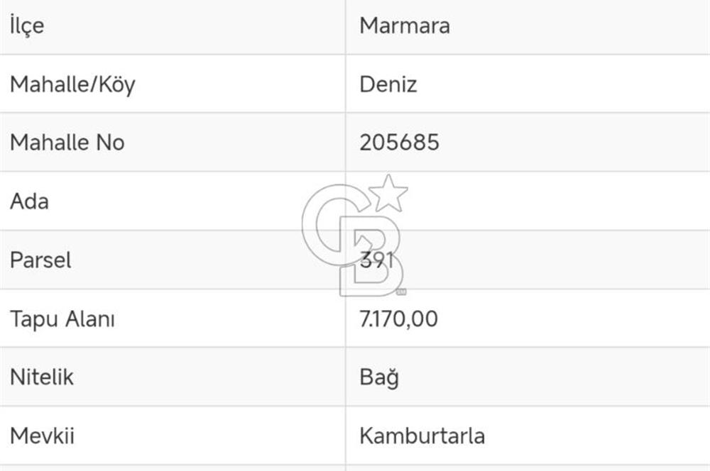 AVŞA ADASINDA YATIRIMA UYGUN SATILIK ARSA HİSSESİ