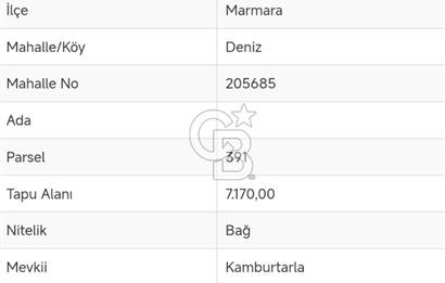 AVŞA ADASINDA YATIRIMA UYGUN SATILIK ARSA HİSSESİ