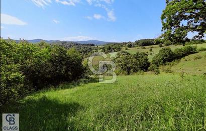 CB CLASS BURSA MUSTAFAKEMALPAŞA ÇARDAKBELEN SATILIK TARLA