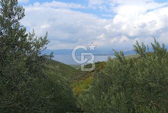 İZNİR DERBENT'TE GÖL MANZARALI YATIRIMLIK SATILIK TARLA