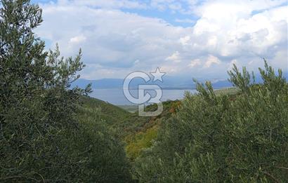 İZNİR DERBENT'TE GÖL MANZARALI YATIRIMLIK SATILIK TARLA