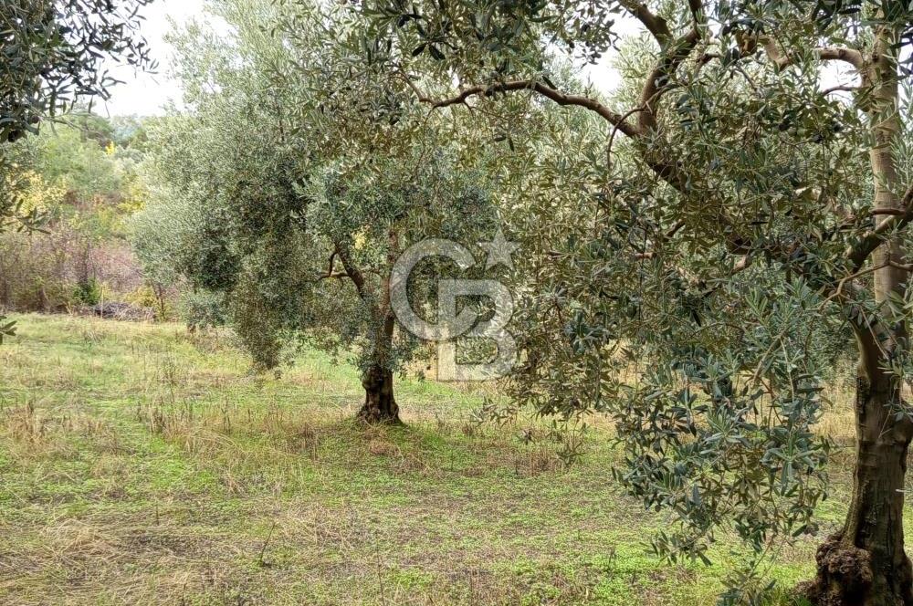 İZNİR DERBENT'TE GÖL MANZARALI YATIRIMLIK SATILIK TARLA