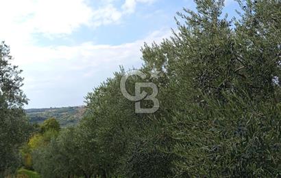 İZNİR DERBENT'TE GÖL MANZARALI YATIRIMLIK SATILIK TARLA