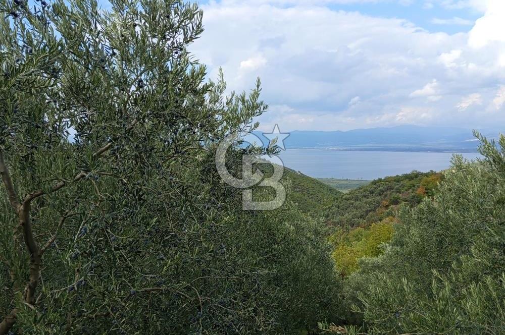 İZNİR DERBENT'TE GÖL MANZARALI YATIRIMLIK SATILIK TARLA