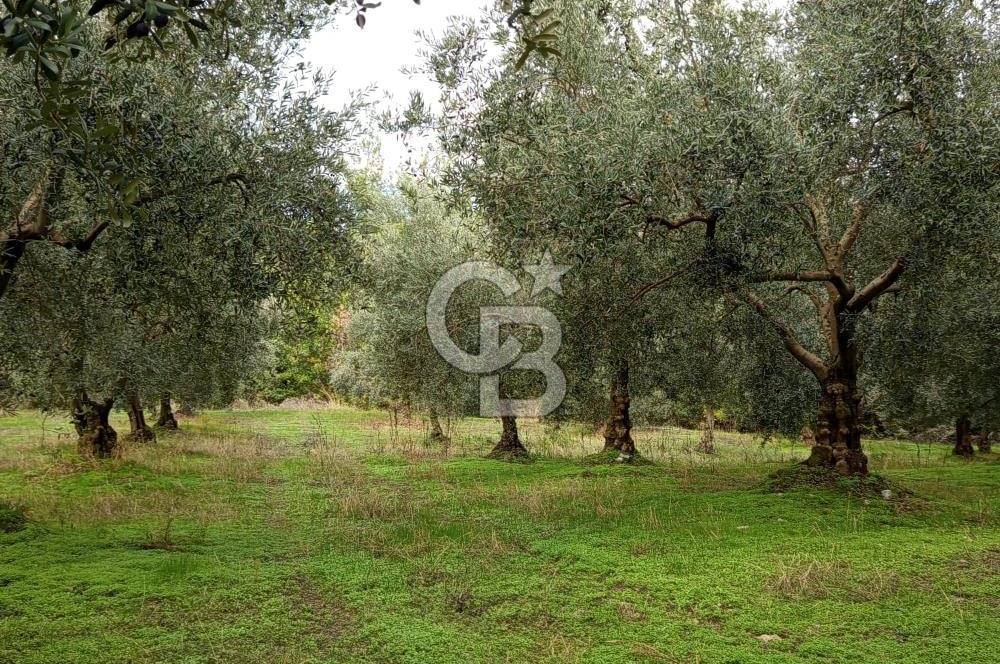 İZNİR DERBENT'TE GÖL MANZARALI YATIRIMLIK SATILIK TARLA