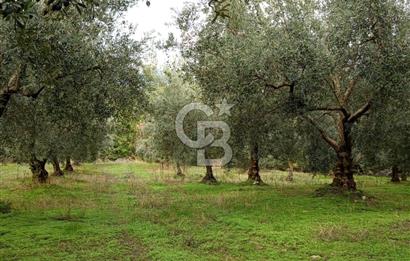 İZNİR DERBENT'TE GÖL MANZARALI YATIRIMLIK SATILIK TARLA