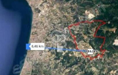 Kuşadası Yaylaköyde Doğayla İç İçe Huzurlu Yaşam Alanı