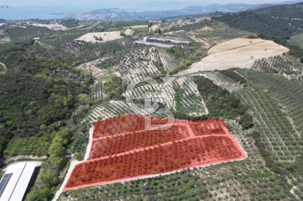 Kuşadası Yaylaköyde Doğayla İç İçe Huzurlu Yaşam Alanı