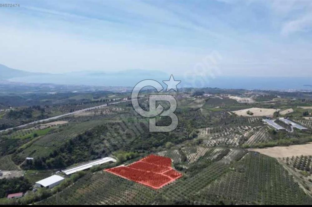 Kuşadası Yaylaköyde Doğayla İç İçe Huzurlu Yaşam Alanı