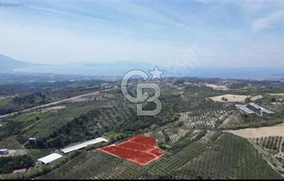 Kuşadası Yaylaköyde Doğayla İç İçe Huzurlu Yaşam Alanı