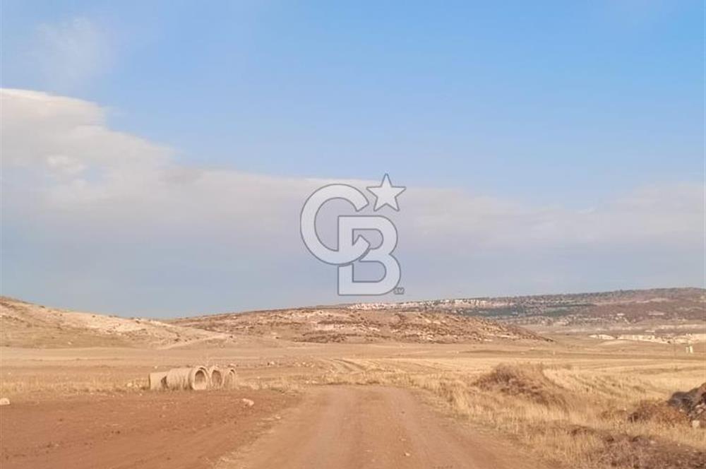 CB CITY'DEN SEYİTGAZİ KESENLER DE SATILIK 4.014 M² TARLA