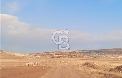 CB CITY'DEN SEYİTGAZİ KESENLER DE SATILIK 4.014 M² TARLA