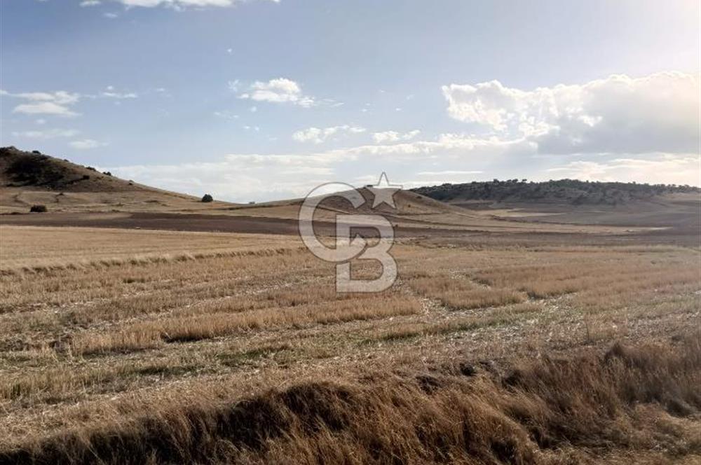 CB CITY'DEN SEYİTGAZİ KESENLER DE SATILIK 4.014 M² TARLA