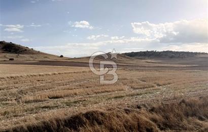 CB CITY'DEN SEYİTGAZİ KESENLER DE SATILIK 4.014 M² TARLA