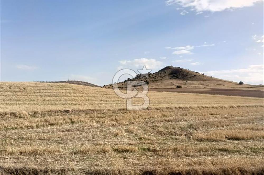 CB CITY'DEN SEYİTGAZİ KESENLER DE SATILIK 4.014 M² TARLA