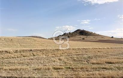 CB CITY'DEN SEYİTGAZİ KESENLER DE SATILIK 4.014 M² TARLA