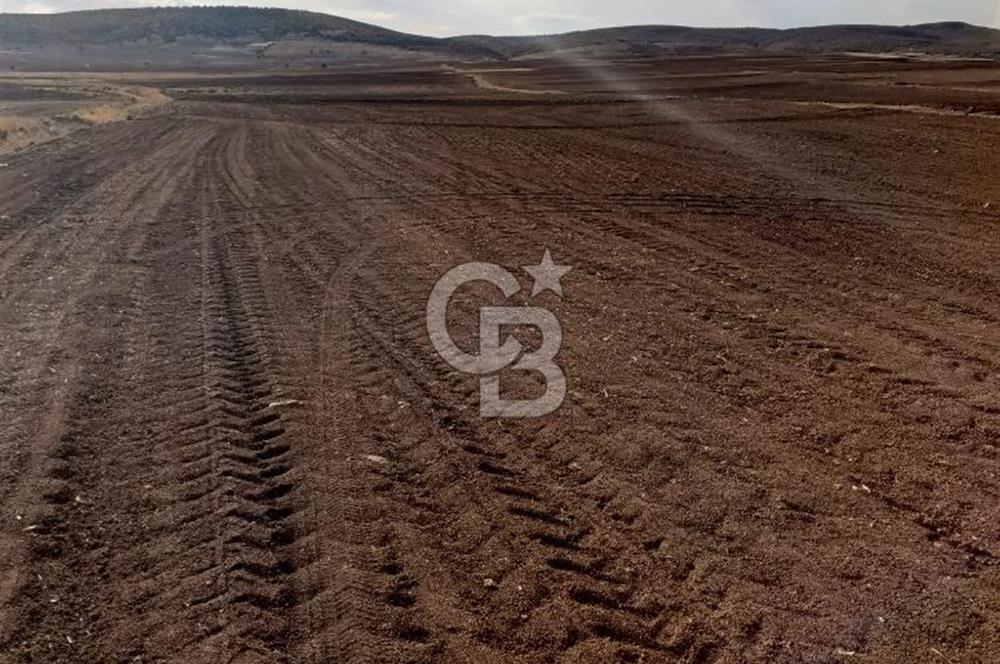 CB CITY'DEN SEYİTGAZİ KESENLER DE SATILIK 4.014 M² TARLA