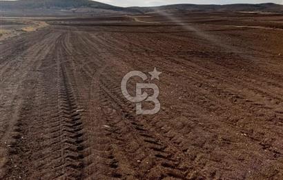 CB CITY'DEN SEYİTGAZİ KESENLER DE SATILIK 4.014 M² TARLA