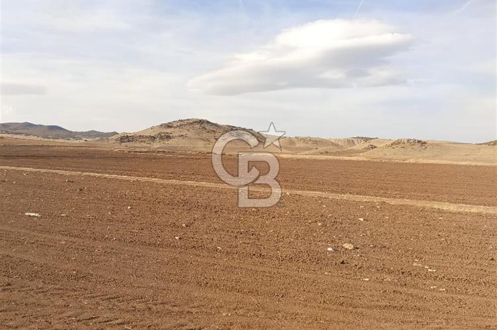 CB CITY'DEN SEYİTGAZİ KESENLER DE SATILIK 4.014 M² TARLA