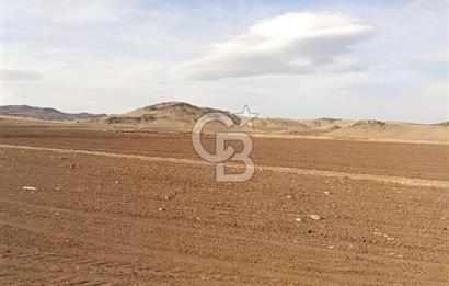 CB CITY'DEN SEYİTGAZİ KESENLER DE SATILIK 4.014 M² TARLA