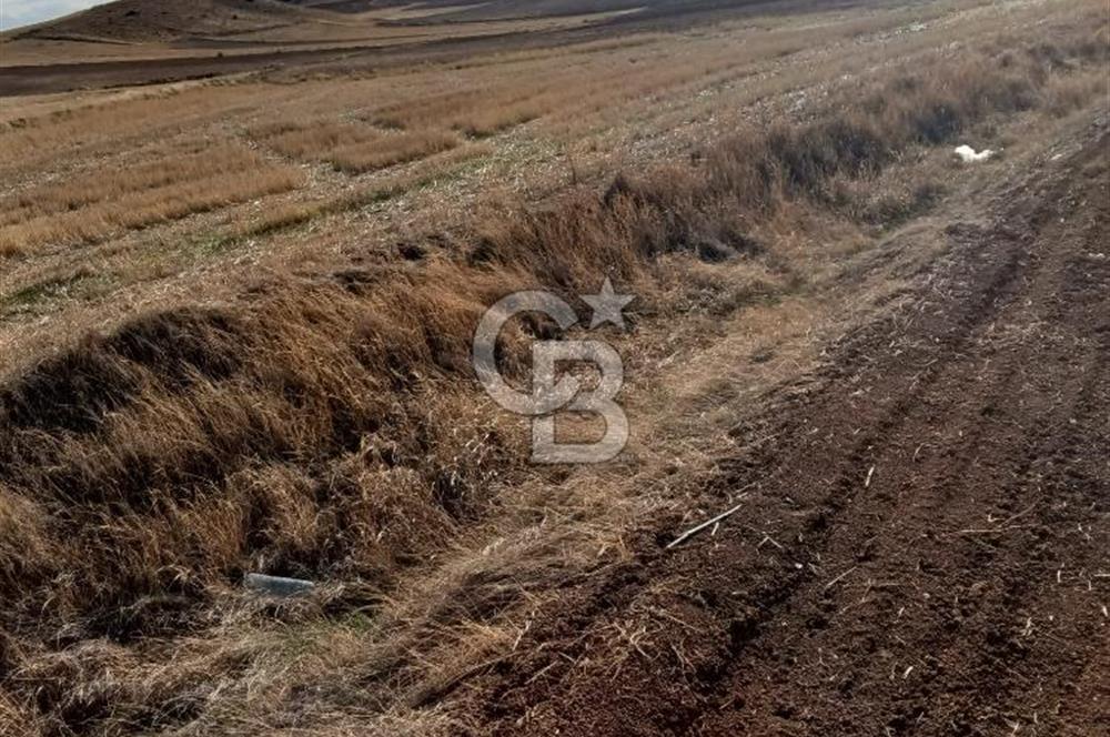 CB CITY'DEN SEYİTGAZİ KESENLER DE SATILIK 4.014 M² TARLA