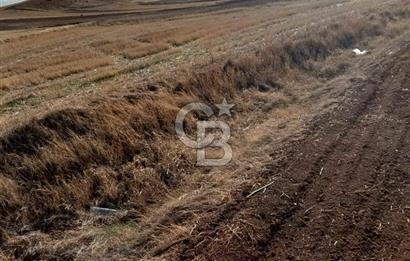 CB CITY'DEN SEYİTGAZİ KESENLER DE SATILIK 4.014 M² TARLA