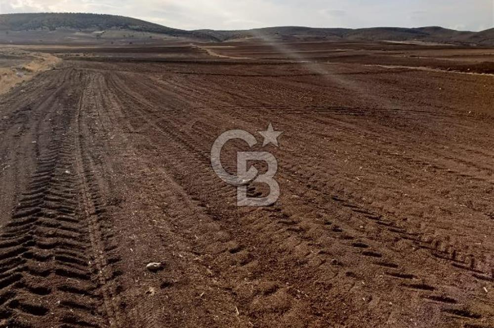 CB CITY'DEN SEYİTGAZİ KESENLER DE SATILIK 4.014 M² TARLA