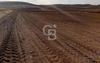 CB CITY'DEN SEYİTGAZİ KESENLER DE SATILIK 4.014 M² TARLA