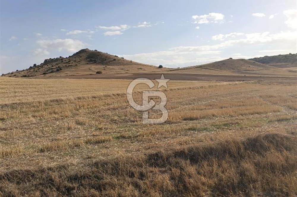 CB CITY'DEN SEYİTGAZİ KESENLER DE SATILIK 4.014 M² TARLA
