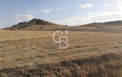 CB CITY'DEN SEYİTGAZİ KESENLER DE SATILIK 4.014 M² TARLA