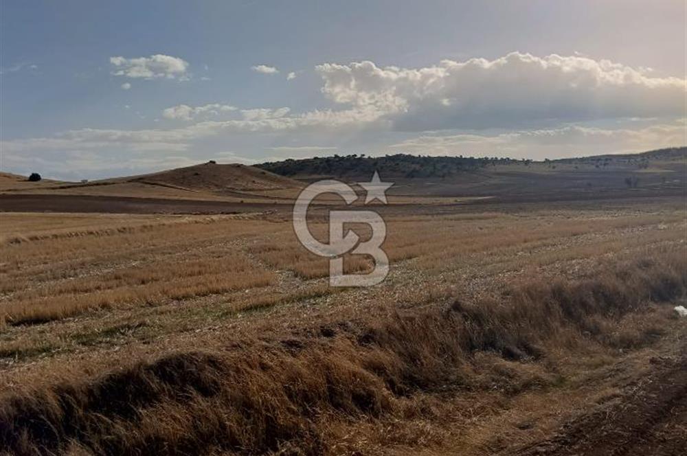 CB CITY'DEN SEYİTGAZİ KESENLER DE SATILIK 4.014 M² TARLA