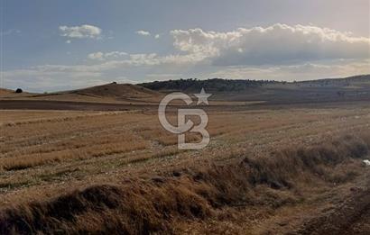 CB CITY'DEN SEYİTGAZİ KESENLER DE SATILIK 4.014 M² TARLA