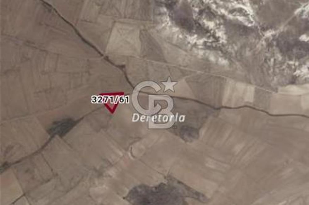 CB CITY'DEN SEYİTGAZİ KESENLER DE SATILIK 4.014 M² TARLA