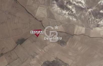 CB CITY'DEN SEYİTGAZİ KESENLER DE SATILIK 4.014 M² TARLA