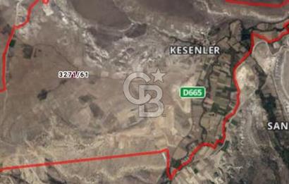 CB CITY'DEN SEYİTGAZİ KESENLER DE SATILIK 4.014 M² TARLA