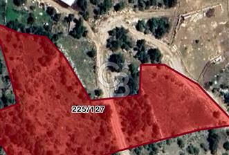 KONYAALTI ÜÇOLUK MAHALLESİNDE 11375 M2 ELMA BAHÇESİ