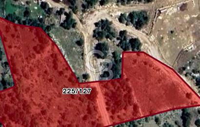 KONYAALTI ÜÇOLUK MAHALLESİNDE 11375 M2 ELMA BAHÇESİ