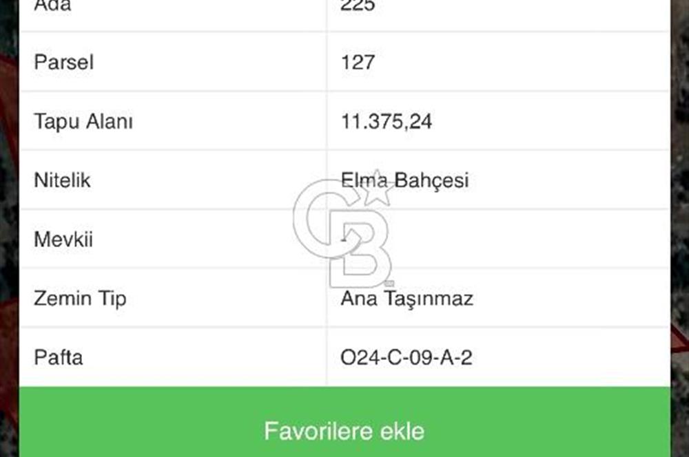 KONYAALTI ÜÇOLUK MAHALLESİNDE 11375 M2 ELMA BAHÇESİ