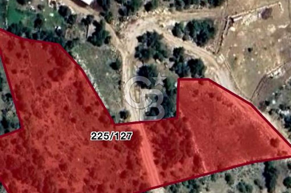 KONYAALTI ÜÇOLUK MAHALLESİNDE 11375 M2 ELMA BAHÇESİ