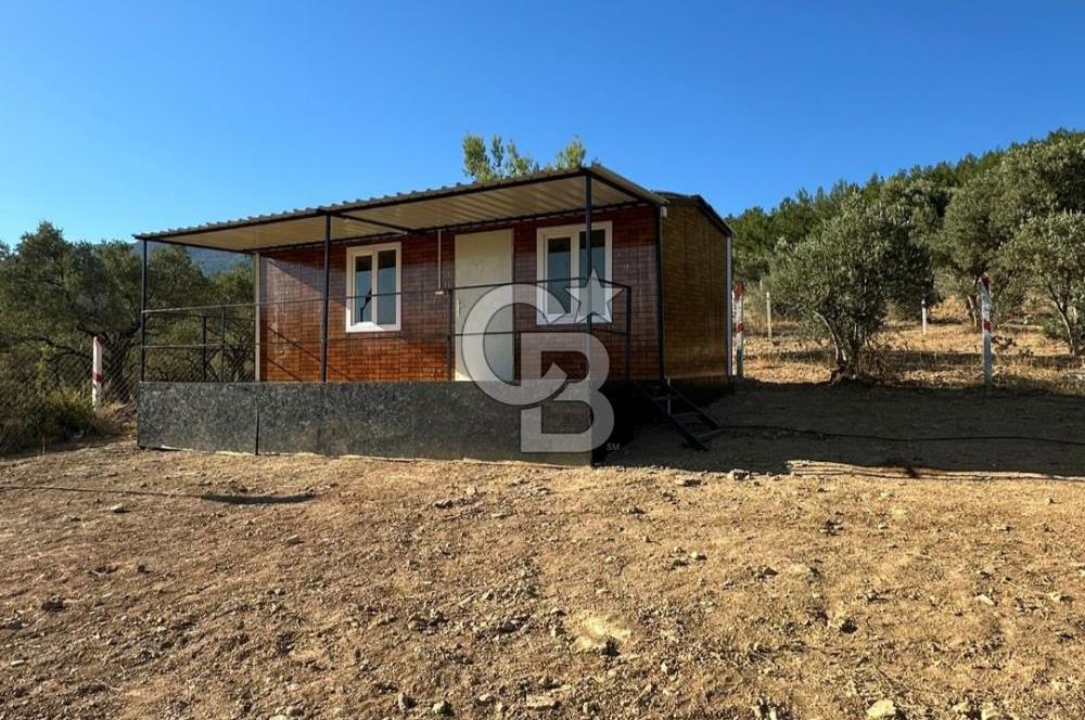 Kemalpaşa Vişneli'de Satılık Arazi