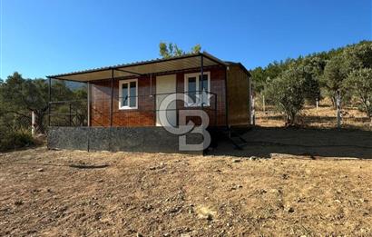 Kemalpaşa Vişneli'de Satılık Arazi