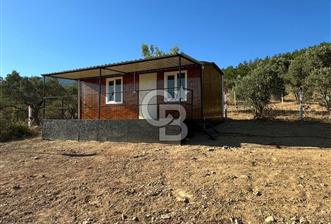 Kemalpaşa Vişneli'de Satılık Arazi