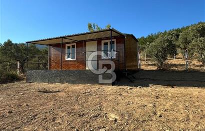 Kemalpaşa Vişneli'de Satılık Arazi