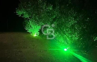 Kemalpaşa Vişneli'de Satılık Arazi