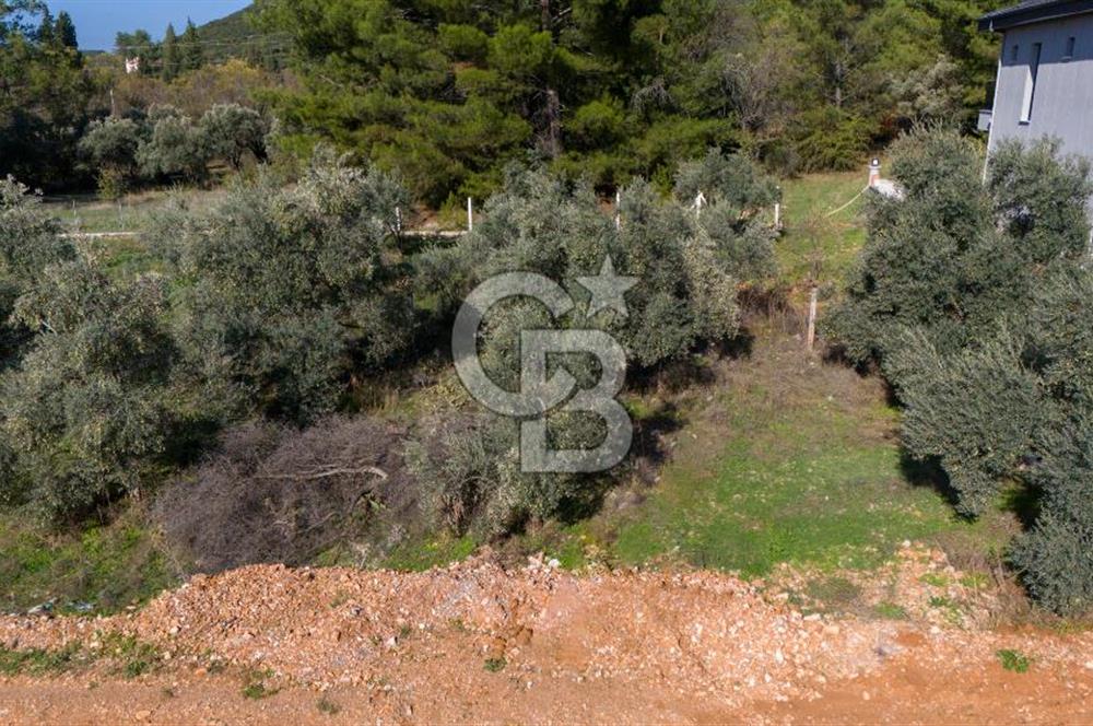 CB MARİNA'DAN GÜLAĞZI'NDA 600 M2 VİLLA İMARLI SATILIK ARSA