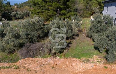 CB MARİNA'DAN GÜLAĞZI'NDA 600 M2 VİLLA İMARLI SATILIK ARSA