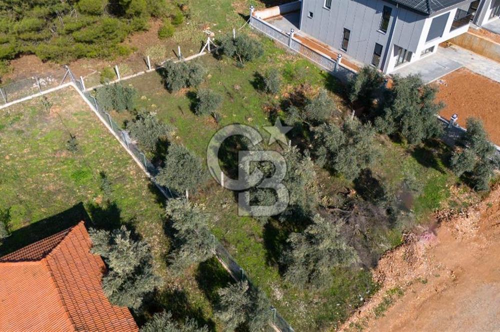 CB MARİNA'DAN GÜLAĞZI'NDA 600 M2 VİLLA İMARLI SATILIK ARSA