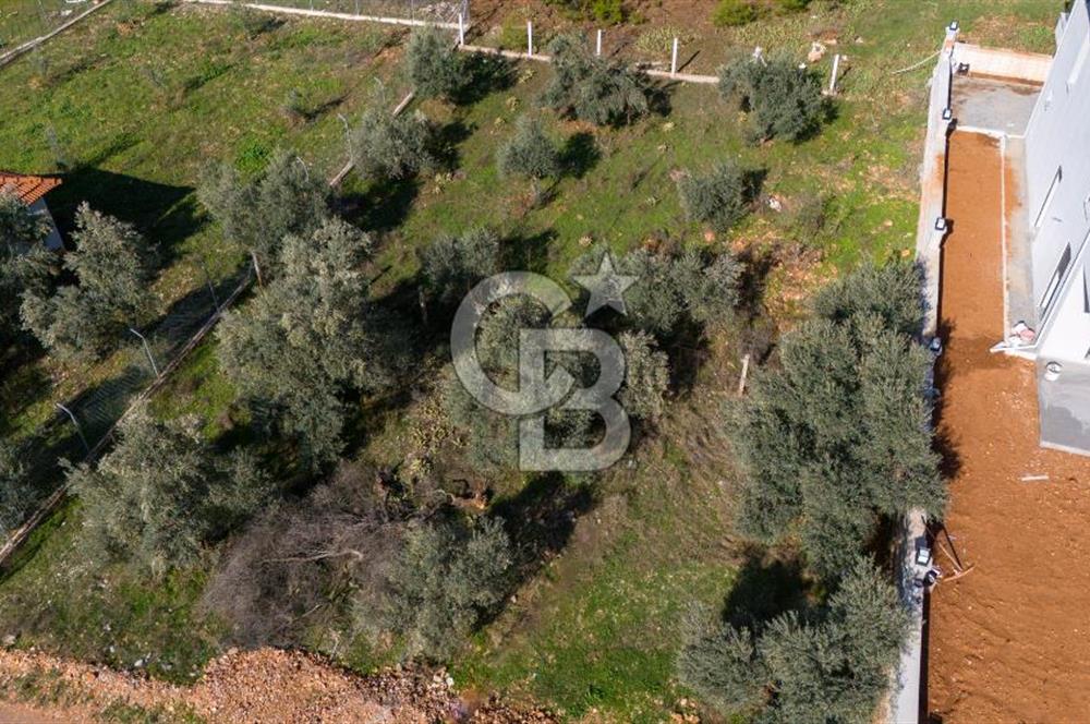 CB MARİNA'DAN GÜLAĞZI'NDA 600 M2 VİLLA İMARLI SATILIK ARSA