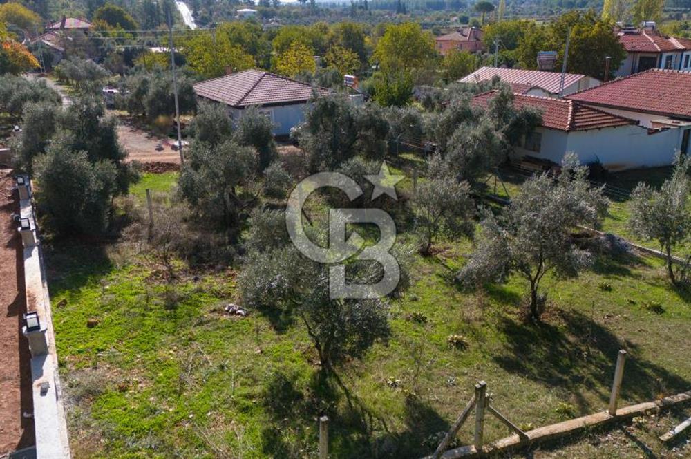 CB MARİNA'DAN GÜLAĞZI'NDA 600 M2 VİLLA İMARLI SATILIK ARSA